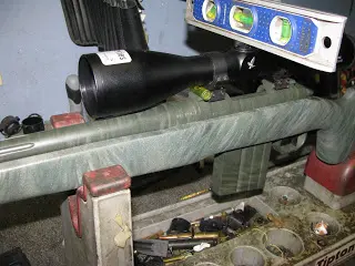 Gun with scope