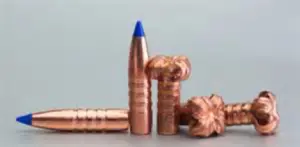 Expanded Bullets
