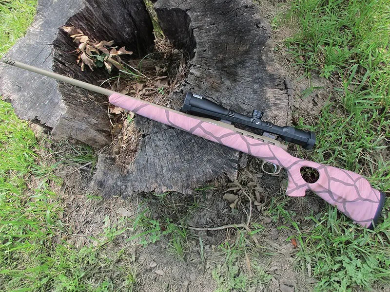 Christina Clark Pink Giraffe Rifle