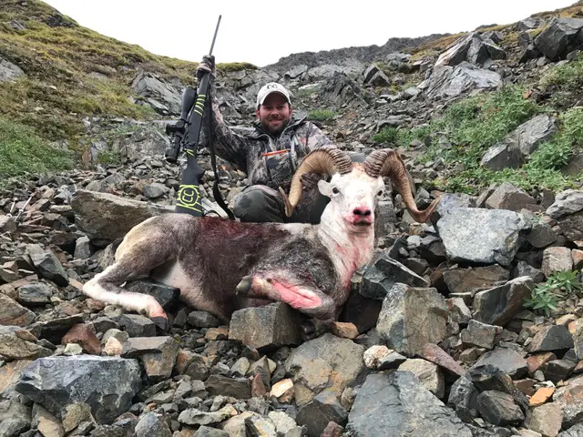 Hunter with a big horn ram