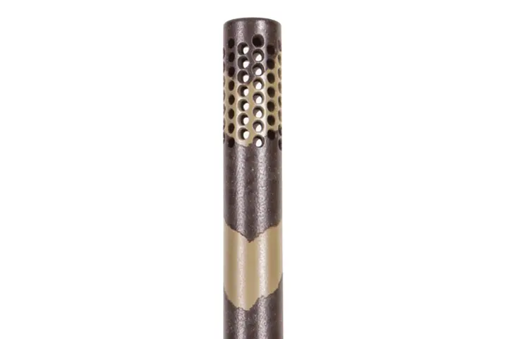 Tan Zebra